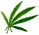 Hoja.gif (16074 bytes)