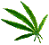 Hoja2.gif (15722 bytes)